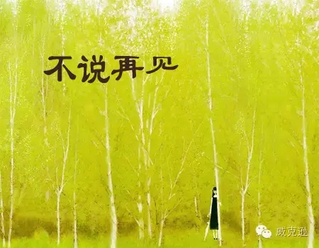 想和你—不说“再见”