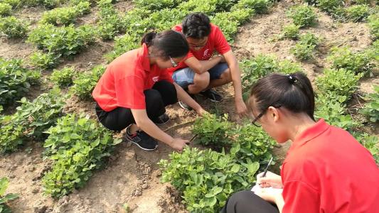 北京市2021年高校毕业生到农村从事支农工作招聘公告